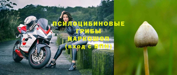 ECSTASY Белоозёрский