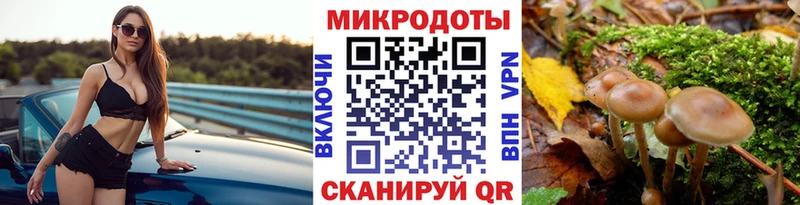 Псилоцибиновые грибы MAGIC MUSHROOMS  Мглин 